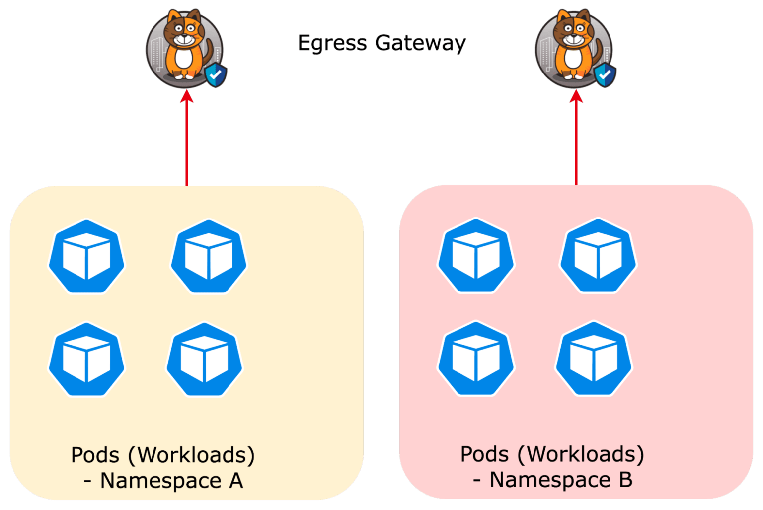 1 to 1 egress gateway