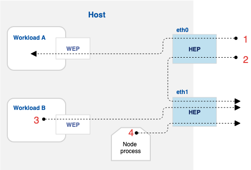 Host-forward-traffic